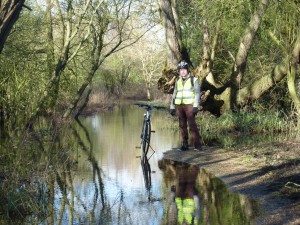 There's a path here somewhere