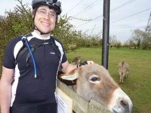 Tim takes a break to see the donkeys